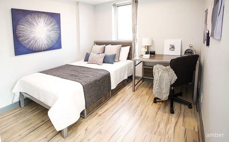 Room for Sublet near UW from May-Aug 2026