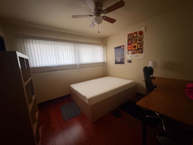 1 Bedroom House Available for Spring Term