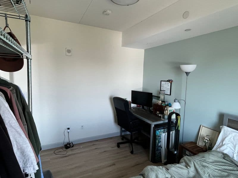 Photo 5