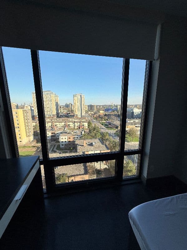 330 Phillip St - Icon Window Room