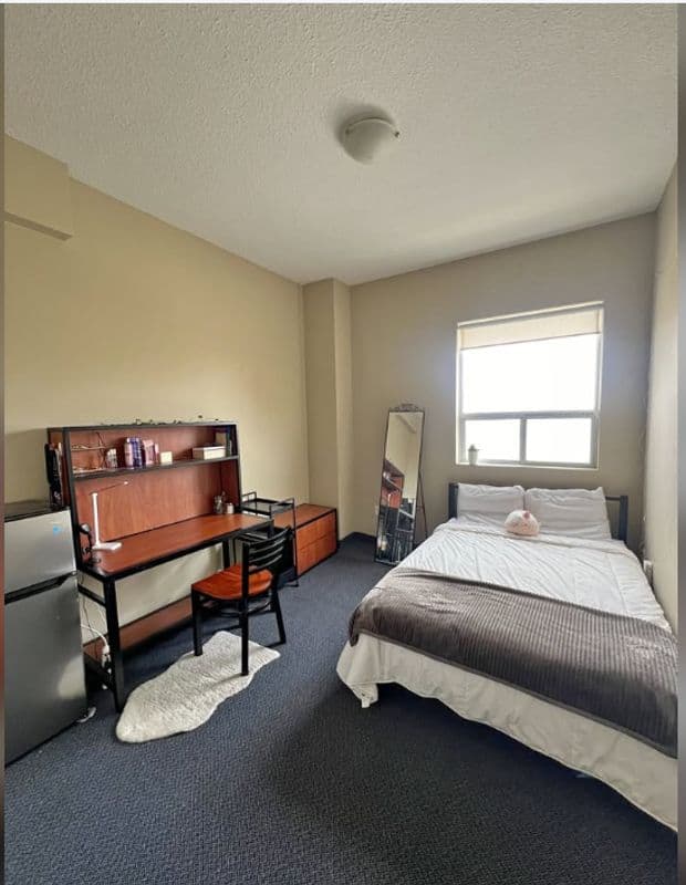 1 Bed 1 Bath Apartment on King St (Rent Negotiable)